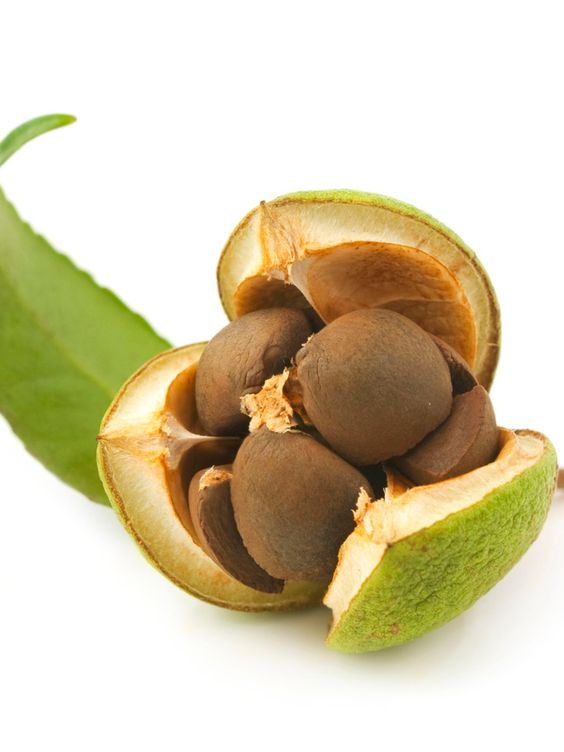 Keto生酮店焦點/新聞/消息/情報: 認識羅漢果糖