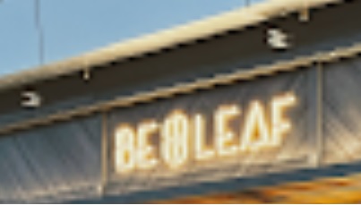 : Be Leaf
